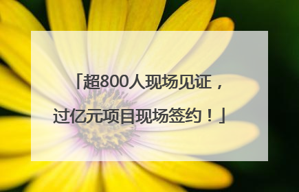 超800人现场见证，过亿元项目现场签约！