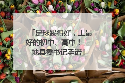 足球踢得好，上最好的初中、高中！一地县委书记承诺