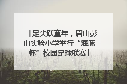 足尖跃童年，眉山彭山实验小学举行“海豚杯”校园足球联赛