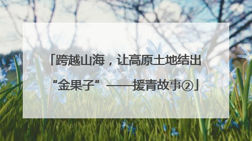 跨越山海，让高原土地结出“金果子”——援青故事②
