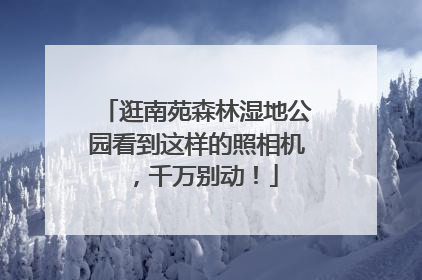 逛南苑森林湿地公园看到这样的照相机，千万别动！