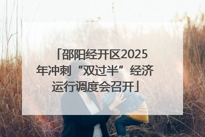 邵阳经开区2025年冲刺“双过半”经济运行调度会召开