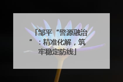 邹平“警源融治”：精准化解，筑牢稳定防线