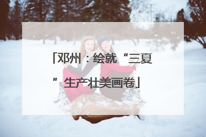 邓州：绘就“三夏”生产壮美画卷