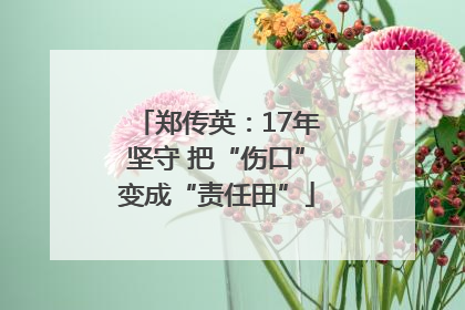 郑传英：17年坚守 把“伤口”变成“责任田”