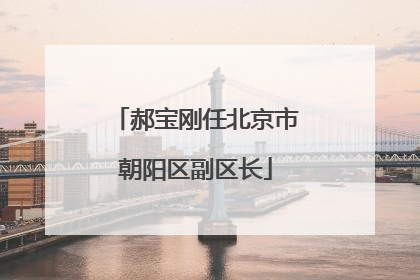 郝宝刚任北京市朝阳区副区长