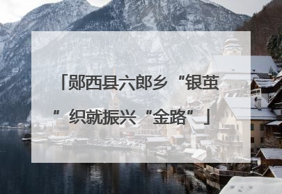 郧西县六郎乡“银茧”织就振兴“金路”