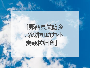 郧西县关防乡：农耕机助力小麦颗粒归仓