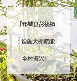 鄄城县彭楼镇：设施大棚赋能乡村振兴