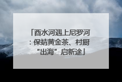 酉水河遇上尼罗河：保靖黄金茶、村厨“出海”启新途