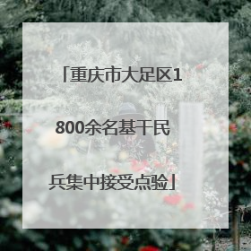 重庆市大足区1800余名基干民兵集中接受点验