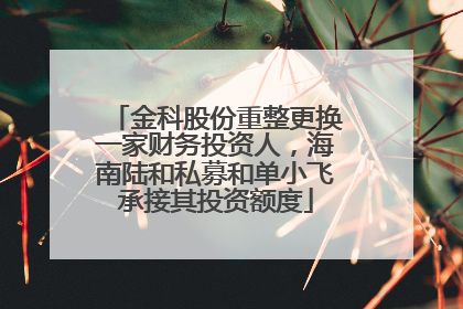 金科股份重整更换一家财务投资人，海南陆和私募和单小飞承接其投资额度