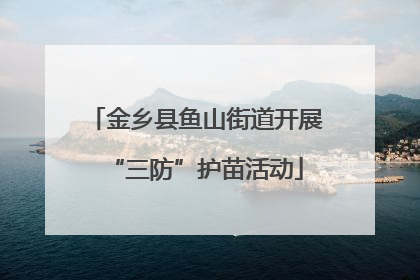 金乡县鱼山街道开展“三防”护苗活动