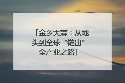 金乡大蒜：从地头到全球“链出”全产业之路