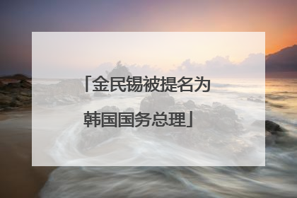金民锡被提名为韩国国务总理