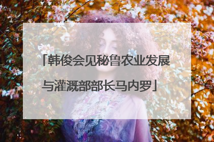 韩俊会见秘鲁农业发展与灌溉部部长马内罗