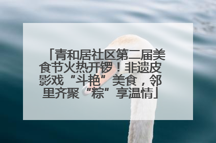 青和居社区第二届美食节火热开锣！非遗皮影戏“斗艳”美食，邻里齐聚“粽”享温情