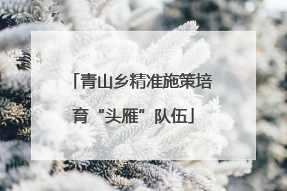 青山乡精准施策培育“头雁”队伍