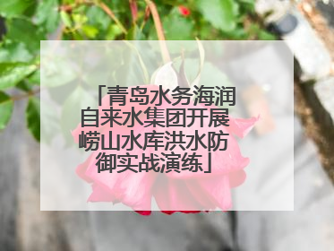 青岛水务海润自来水集团开展崂山水库洪水防御实战演练