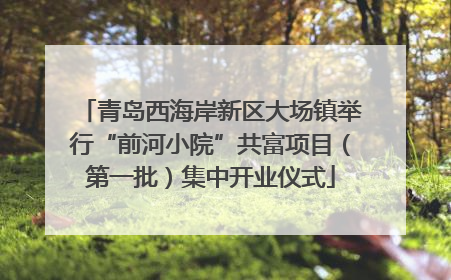 青岛西海岸新区大场镇举行“前河小院”共富项目（第一批）集中开业仪式