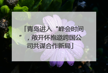 青岛进入“峰会时间”，敞开怀抱邀跨国公司共谋合作新局