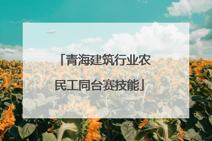 青海建筑行业农民工同台赛技能