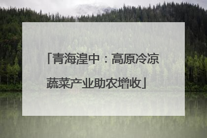 青海湟中：高原冷凉蔬菜产业助农增收