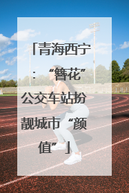 青海西宁：“簪花”公交车站扮靓城市“颜值”