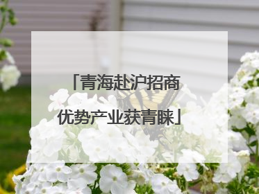 青海赴沪招商 优势产业获青睐
