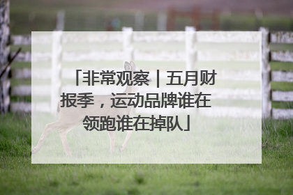 非常观察｜五月财报季，运动品牌谁在领跑谁在掉队