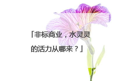 非标商业，水灵灵的活力从哪来？