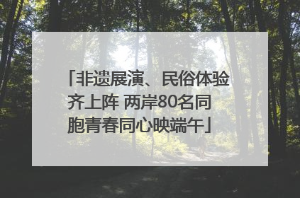 非遗展演、民俗体验齐上阵 两岸80名同胞青春同心映端午