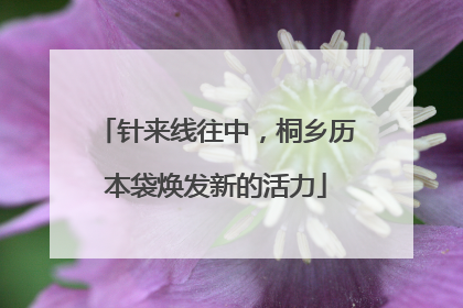 针来线往中，桐乡历本袋焕发新的活力