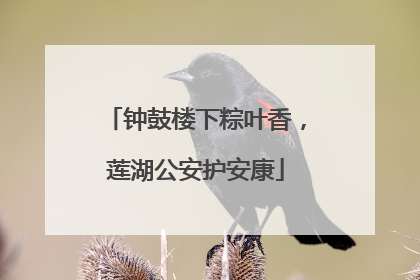钟鼓楼下粽叶香，莲湖公安护安康
