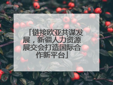 链接欧亚共谋发展，新疆人力资源展交会打造国际合作新平台
