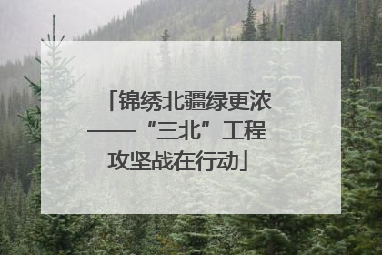 锦绣北疆绿更浓——“三北”工程攻坚战在行动