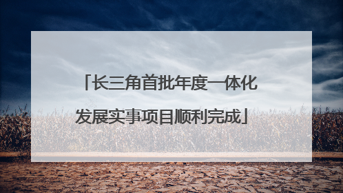 长三角首批年度一体化发展实事项目顺利完成