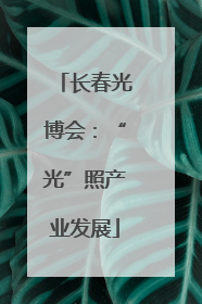长春光博会：“光”照产业发展