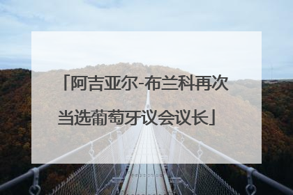 阿吉亚尔-布兰科再次当选葡萄牙议会议长