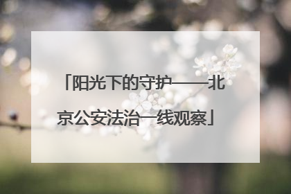 阳光下的守护——北京公安法治一线观察