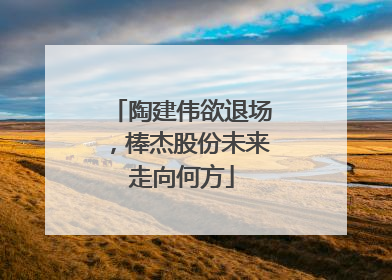 陶建伟欲退场，棒杰股份未来走向何方