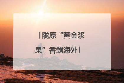 陇原“黄金浆果”香飘海外