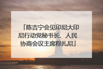 陈吉宁会见印尼大印尼行动党秘书长、人民协商会议主席穆扎尼