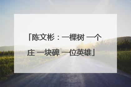 陈文彬：一棵树 一个庄 一块碑 一位英雄