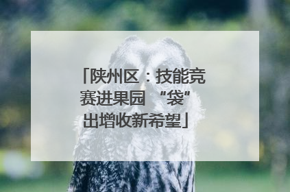 陕州区：技能竞赛进果园 “袋”出增收新希望