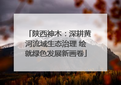陕西神木：深耕黄河流域生态治理 绘就绿色发展新画卷