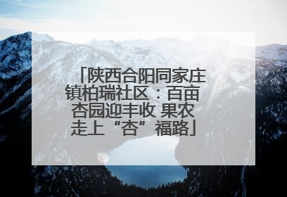 陕西合阳同家庄镇柏瑞社区：百亩杏园迎丰收 果农走上“杏”福路