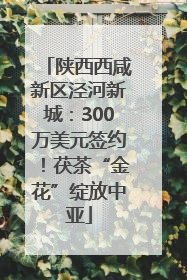 陕西西咸新区泾河新城：300万美元签约！茯茶“金花”绽放中亚