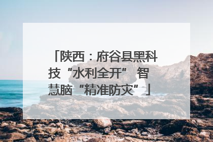 陕西：府谷县黑科技“水利全开” 智慧脑“精准防灾”