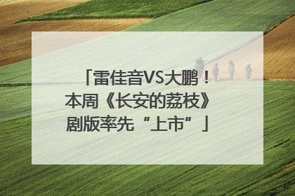 雷佳音VS大鹏！本周《长安的荔枝》剧版率先“上市”
